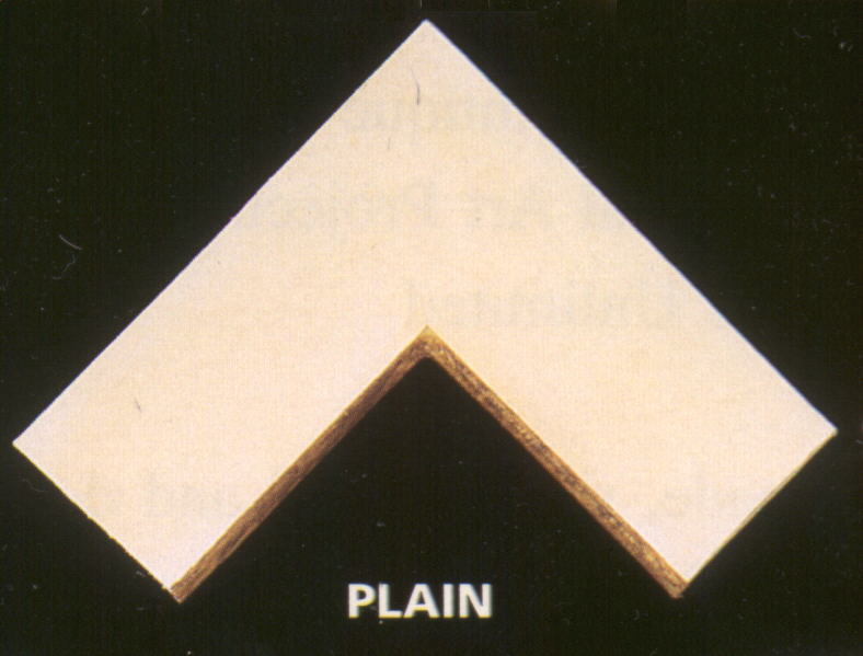 Plain